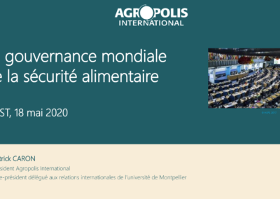 La gouvernance mondiale de la sécurité alimentaire