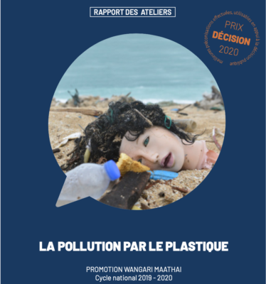 pollution-plastique
