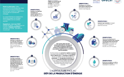 L’Opecst adopte le rapport sur l’agriculture face au défi de la production d’énergie