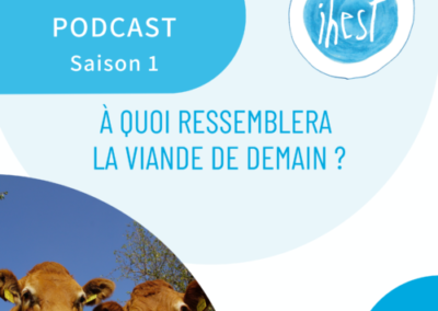 À quoi ressemblera la viande de demain ?