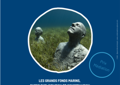 Les grands fonds marins, entre exploitation et conservation