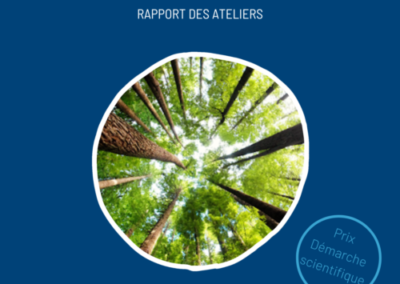 Le rôle de la forêt française dans la transition énergétique