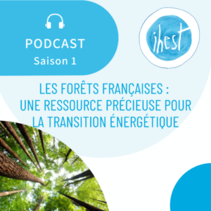 Podcast-5-foret