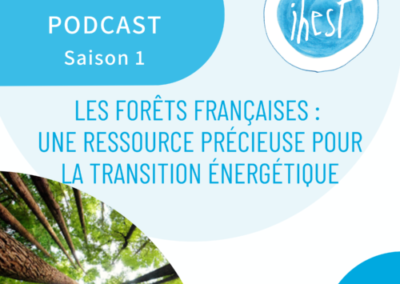 Les forêts françaises : une ressource précieuse pour la transition énergétique