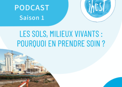 Les sols, milieux vivants : pourquoi en prendre soin ?