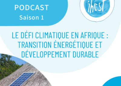 Le défi climatique en Afrique : transition énergétique et développement durable