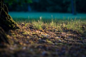 Sol et artificialisation